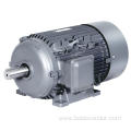 BEIDE 1TL0303 Al Frame series Three-phase Asynchronous Motor